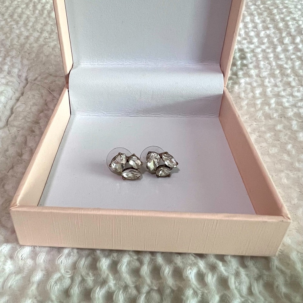 J Crew Earrings